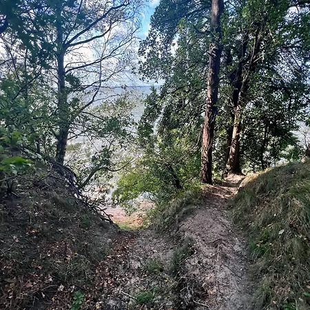 度假居 Ferienhaeuser Insel Usedom Waldhaus 3 Mit Whirlpool - Direkt Am Achterwasser *
