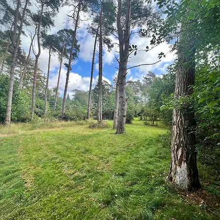 度假居 Ferienhaeuser Insel Usedom Waldhaus 3 Mit Whirlpool - Direkt Am Achterwasser