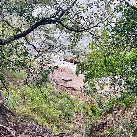 度假居 Ferienhaeuser Insel Usedom Waldhaus 3 Mit Whirlpool - Direkt Am Achterwasser Lutow