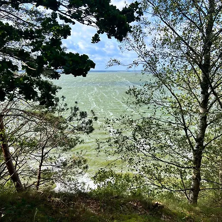 Ferienhaeuser Insel Usedom Waldhaus 3 Mit Whirlpool - Direkt Am Achterwasser * Lutow