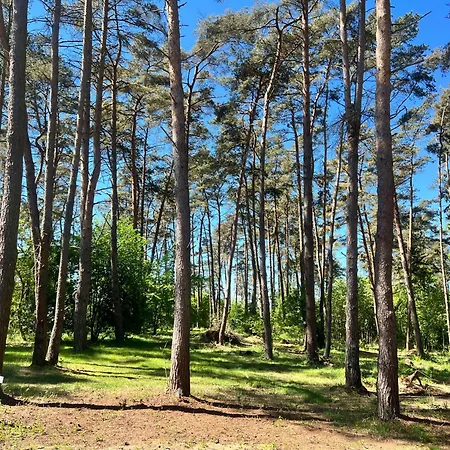 Ferienhaeuser Insel Usedom Waldhaus 3 Mit Whirlpool - Direkt Am Achterwasser