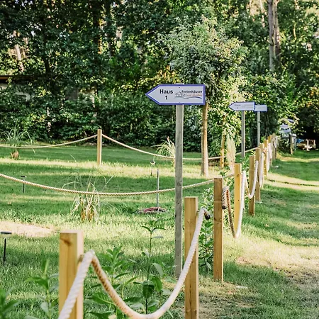 Ferienhaeuser Insel Usedom Waldhaus 3 Mit Whirlpool - Direkt Am Achterwasser Lutow